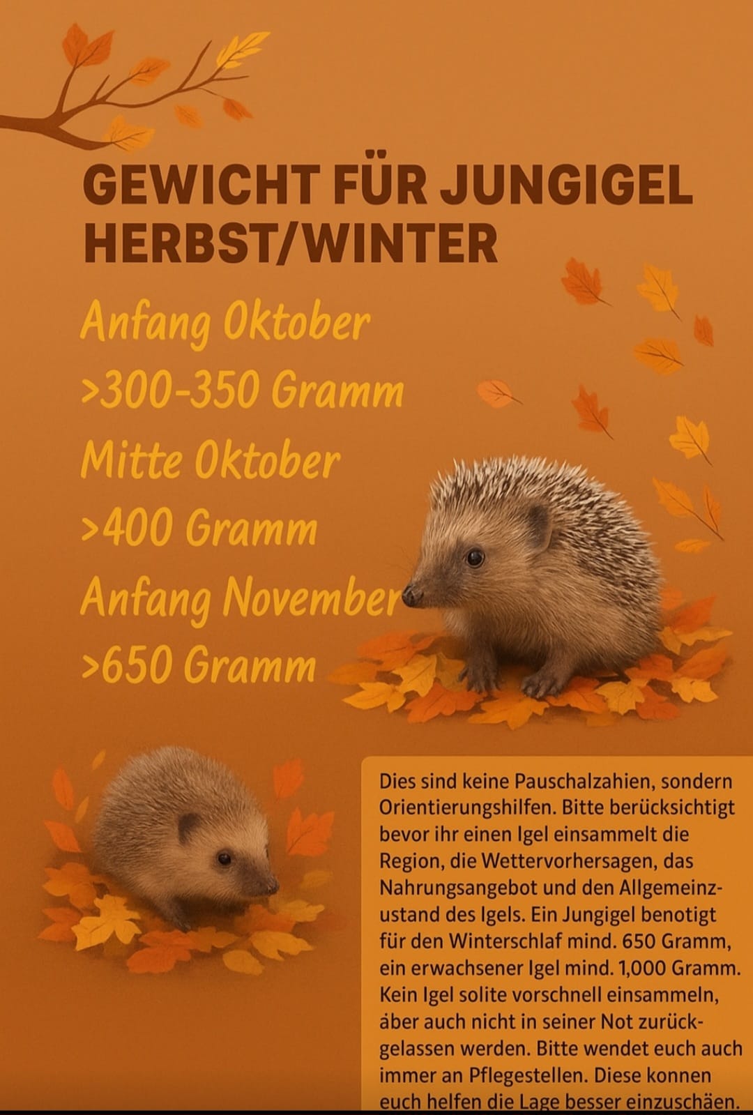 PHOTO 2025 10 29 12 07 12