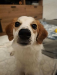 Elly3