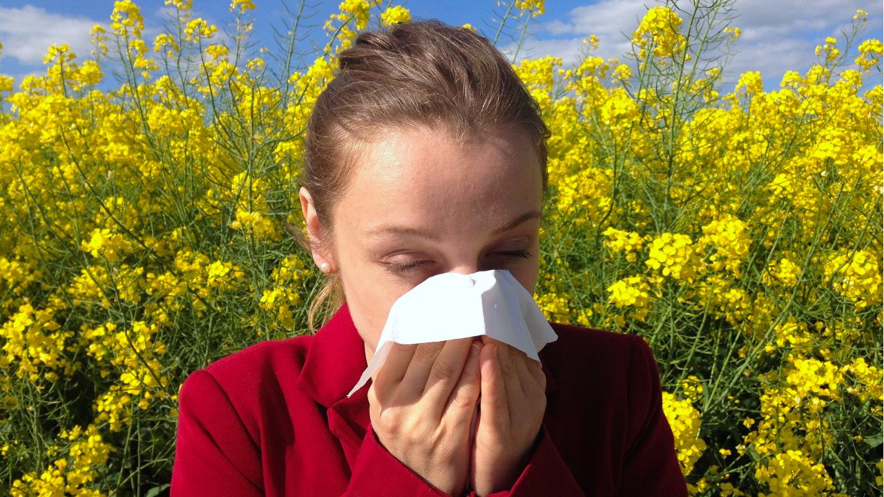 Allergie-Mythen