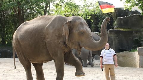 Hagenbecks Elefant - Orakel Yashoda